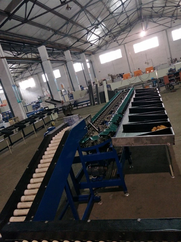 Horizontal Electronic Fruit Grading Machine