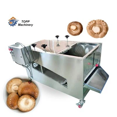 मशरूम तना कटर मशीन मशरूम जड़ काटने की मशीन