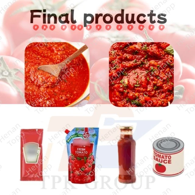 conew_tomato pasta production line (1)